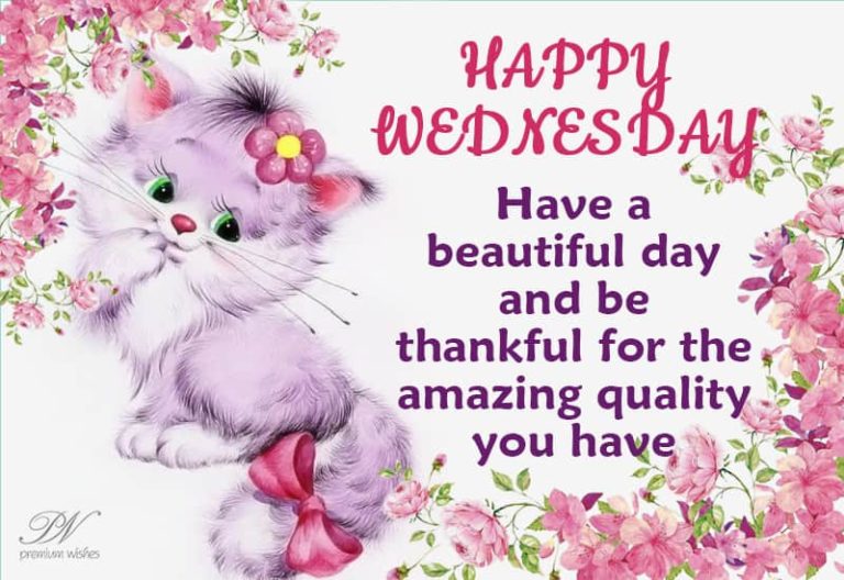 Happy Wednesday – Have a beautiful day and be thankful for the amazing quality you have Happy Wednesday – Have a beautiful day and be thankful for the amazing quality you have