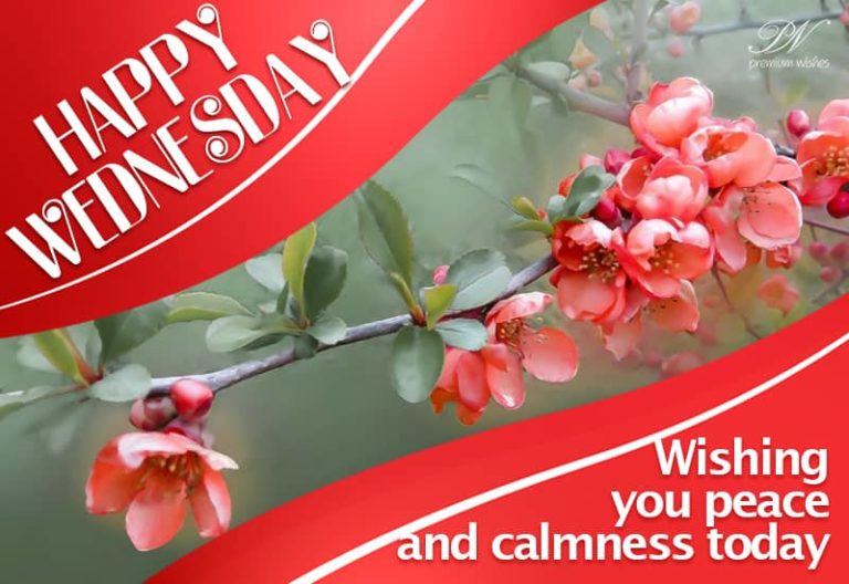 Happy Wednesday – Wishing you peace and calmness today