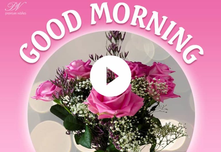 Good Morning Images With Pink Flowers, Good Morning Status, Greetings and Wishes
