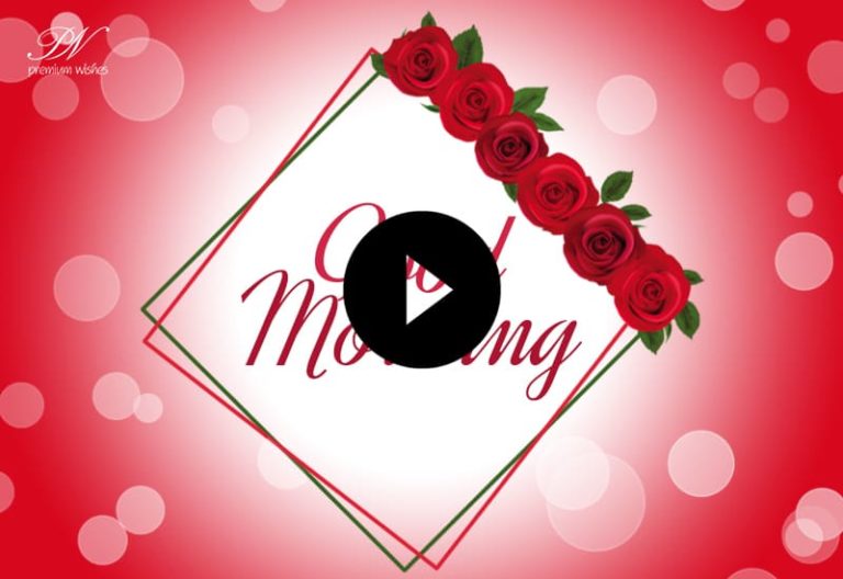 Good Morning Images With Red Flowers, Good Morning Status, Greetings and Wishes Video