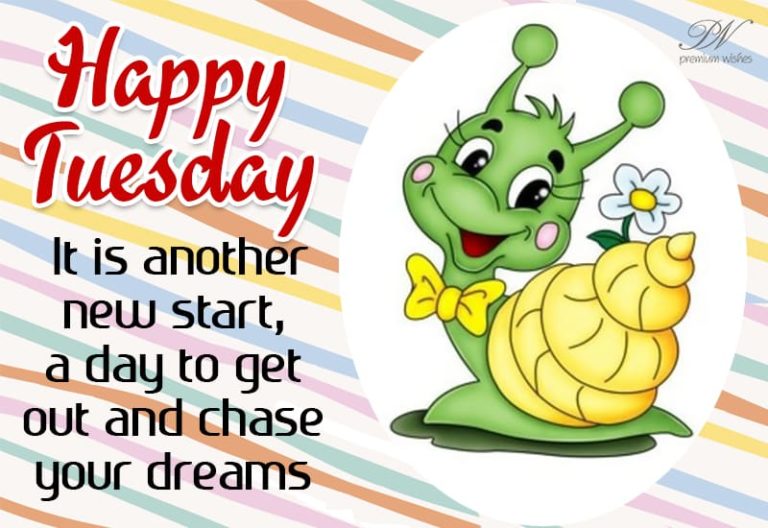 Happy Tuesday – It is another new start, a day to get out and chase your dreams