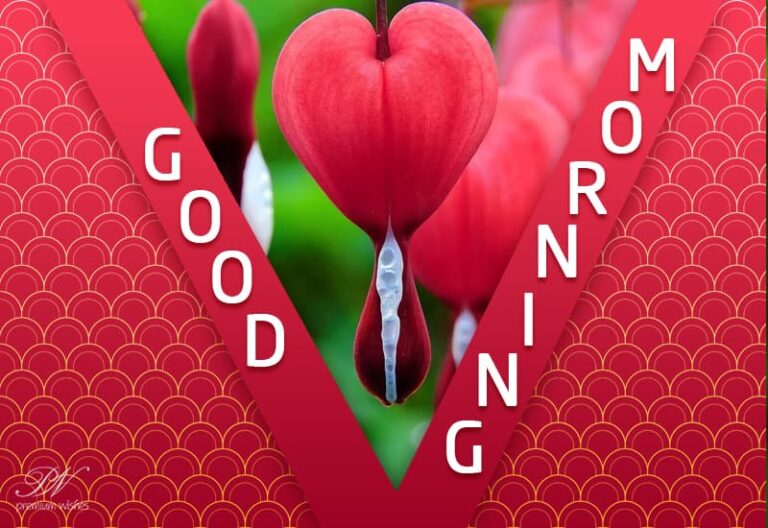 Sending you flowers with good morning wishes – Have a great day ahead