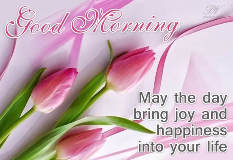 Good Morning – May the day bring joy and happiness into your life Good Morning – May the day bring joy and happiness into your life