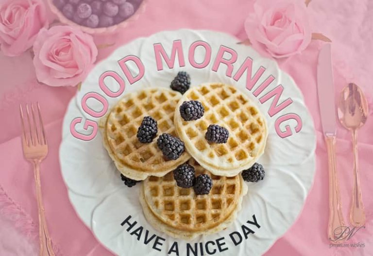 Have a nice morning and great day ahead