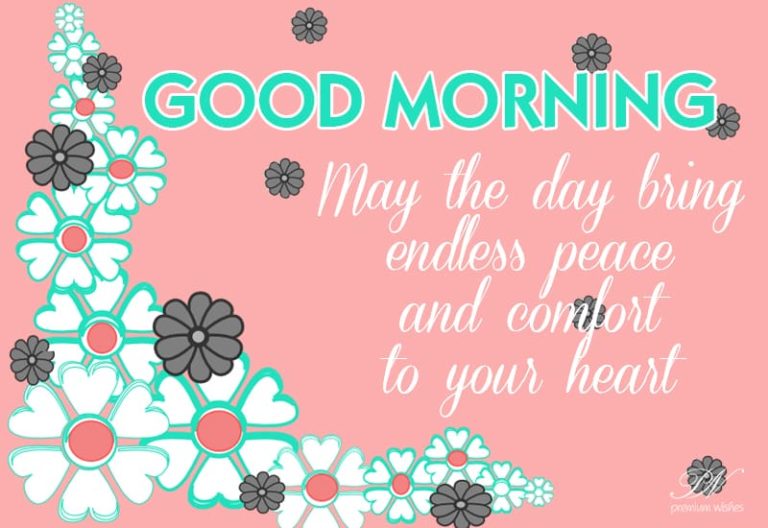 Good Morning – May the day bring endless peace and comfort to your heart