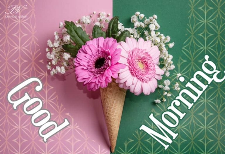 Good Morning Friends – Enjoy the bloom and the flowers