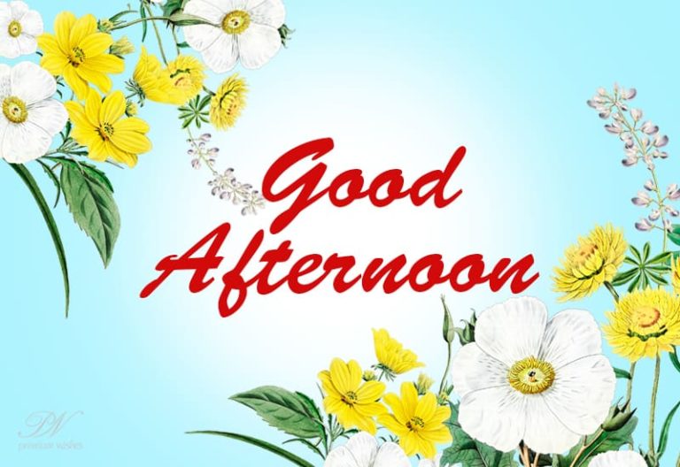 Good Afternoon Wishes