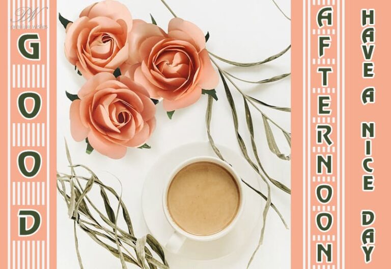 Good Afternoon Wishes