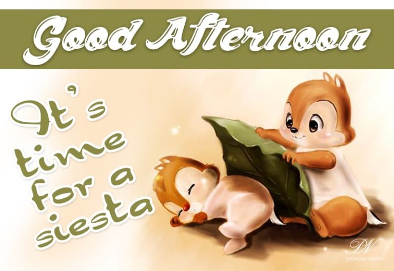 Good Afternoon Wishes