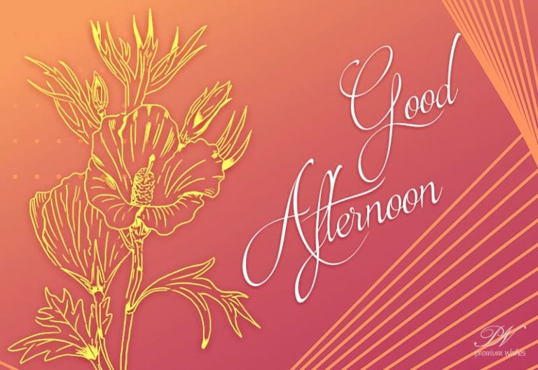 Good Afternoon Wishes