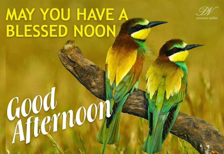Good Afternoon Wishes