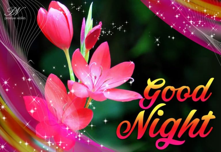 Good Night Wishes
