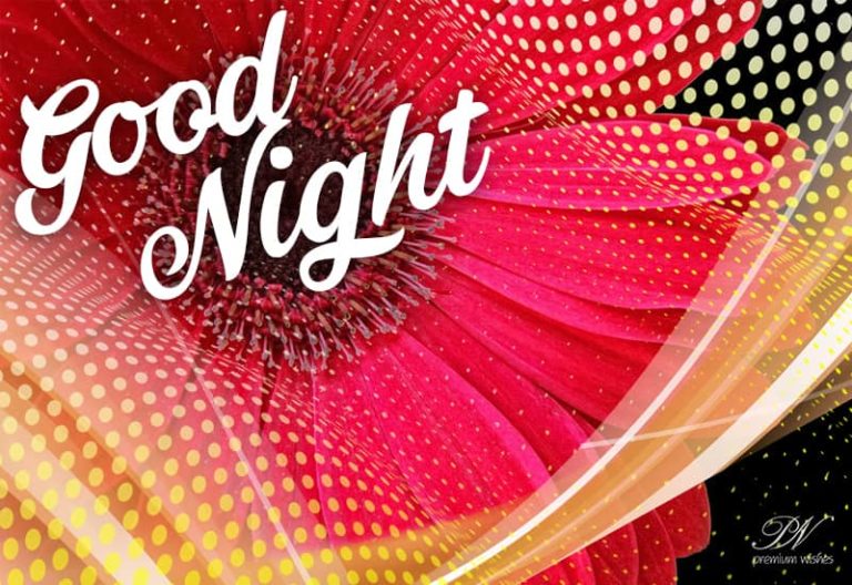 Good Night Wishes