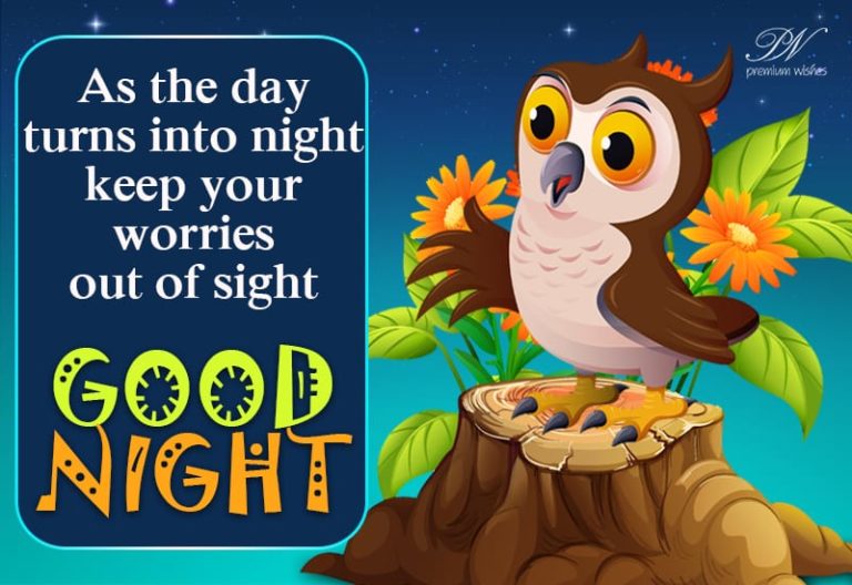 Good Night Wishes