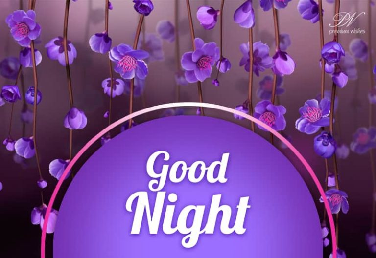 Good Night Wishes