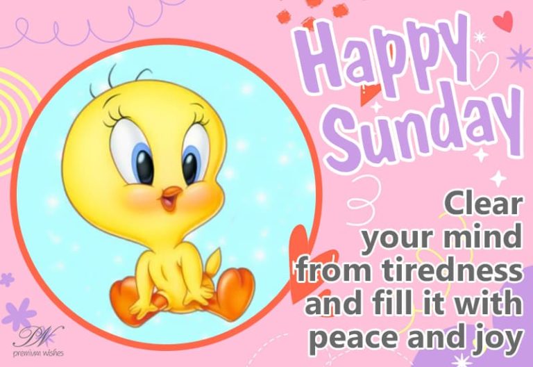Clear your mind from tiredness and fill it with peace and joy – Happy Sunday Clear your mind from tiredness and fill it with peace and joy – Happy Sunday