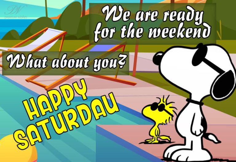 Happy Saturday – We are ready for the weekend! Are you? Happy Saturday – We are ready for the weekend! Are you?