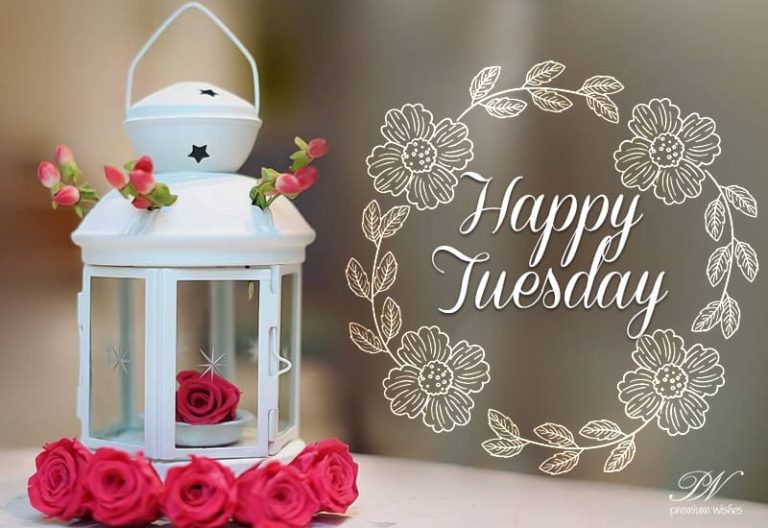 Happy Tuesday – Have a great morning and day ahead