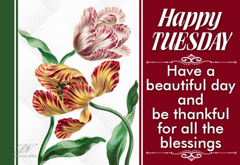 Happy Tuesday – have a beautiful day and be thankful for all the blessings Happy Tuesday – have a beautiful day and be thankful for all the blessings