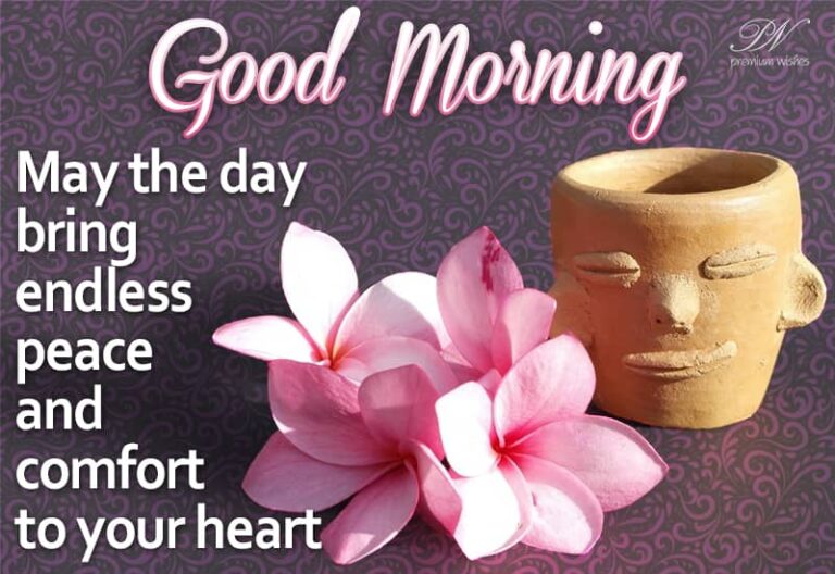 Good Morning – May the day bring endless peace and comfort to your heart