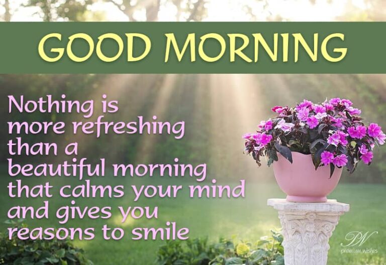 Good Morning Nothing is more refreshing than a beautiful morning that calms your mind and gives you reasons to smile