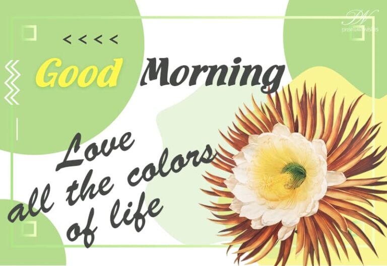Good Morning – Love the colours of life