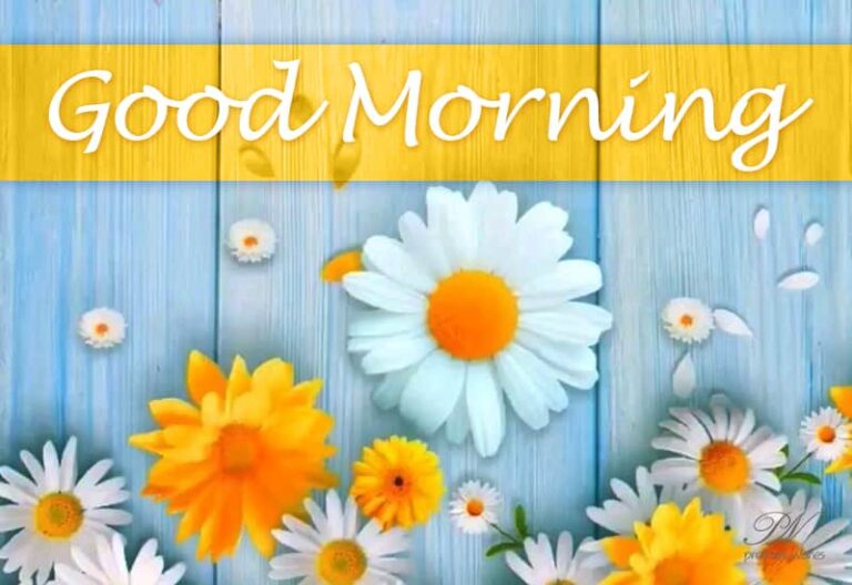 Good Morning – Hope you have a fruitful and good day ahead Good Morning – Hope you have a fruitful and good day ahead