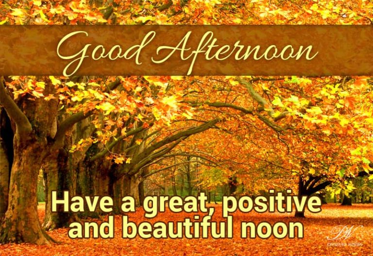 Good Afternoon Wishes