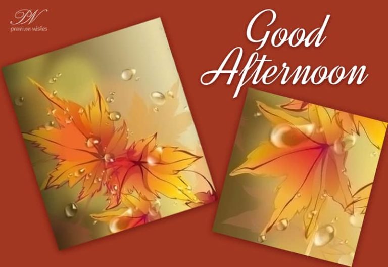Good Afternoon Wishes