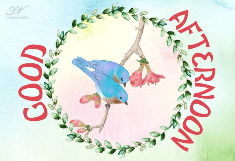 Good Afternoon – Share to enjoy – Be happy Good Afternoon – Share to enjoy – Be happy