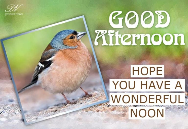 Good Afternoon Wishes