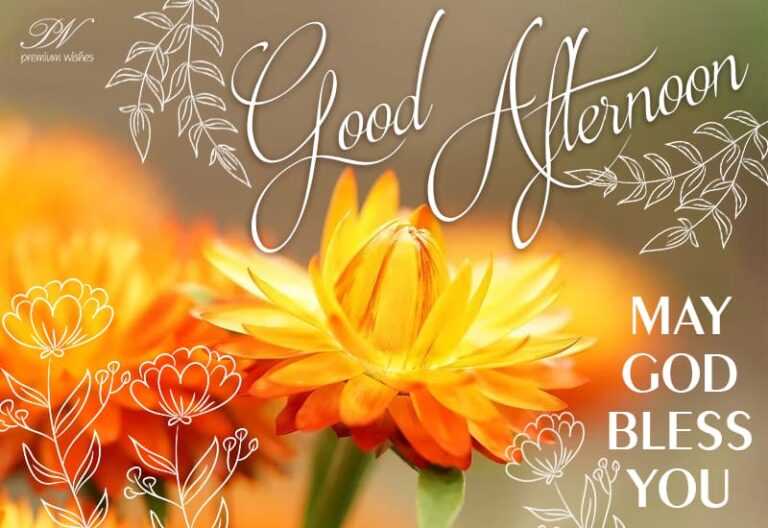 Good Afternoon – May god bless you
