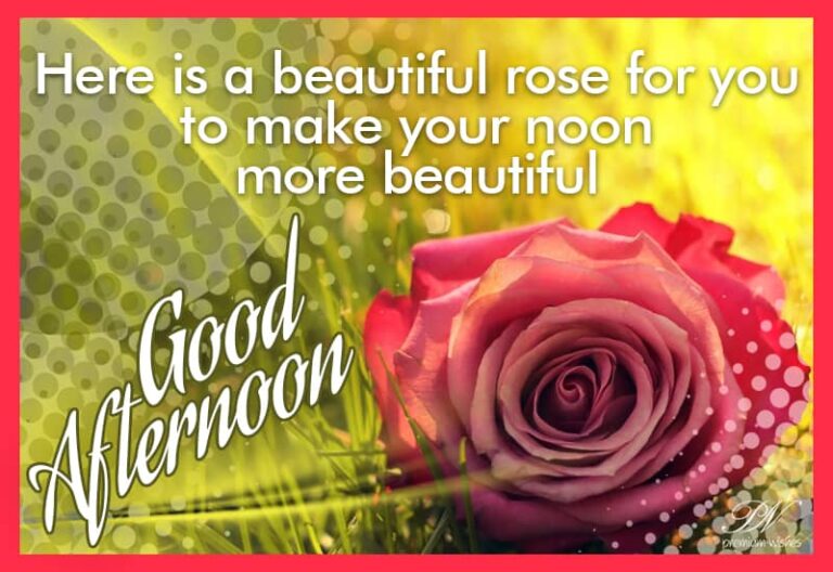 Good Afternoon Wishes