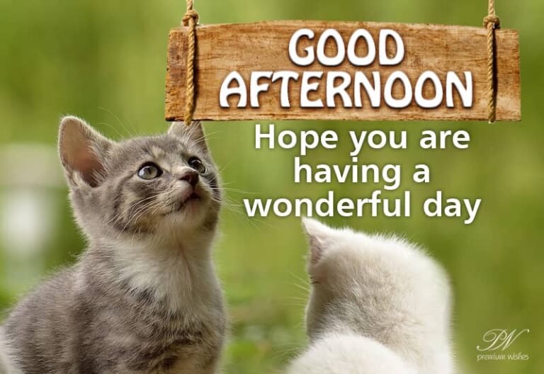 Good Afternoon Wishes