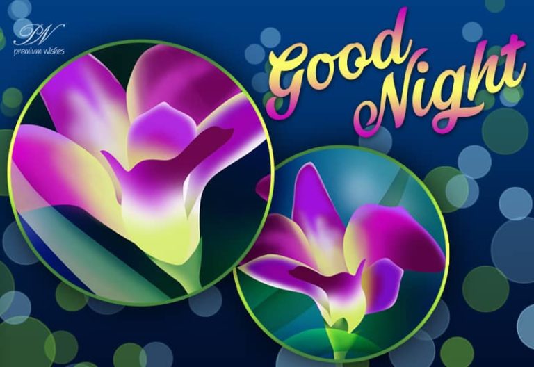 Good Night Wishes
