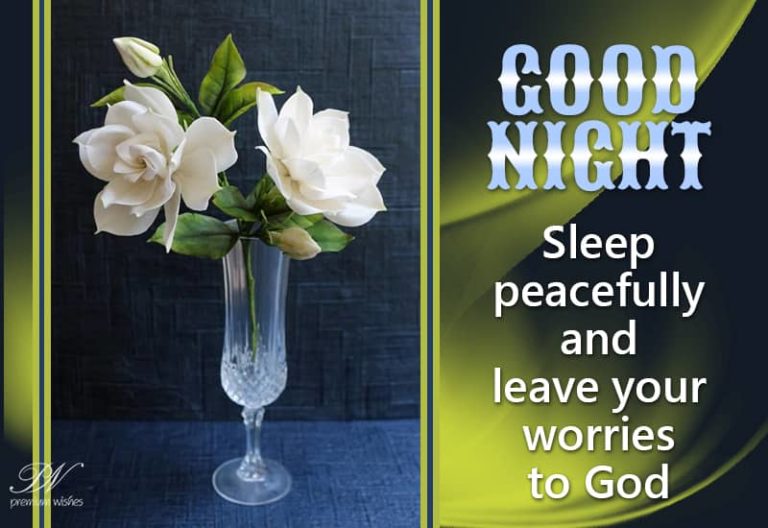 Good Night Wishes