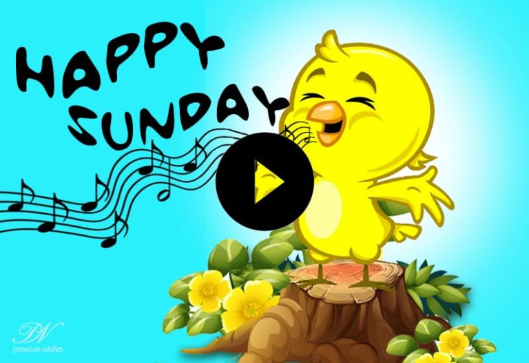 Happy Sunday Video – Happy Sunday Wishes – Sunday Whatsapp Status