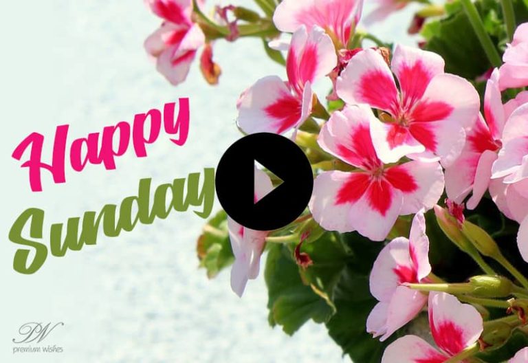 Happy Sunday Greetings – Happy Sunday Wishes