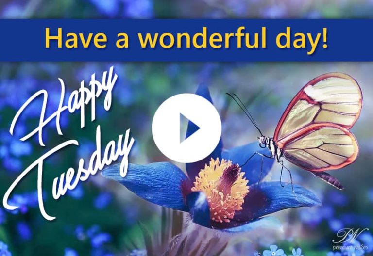 Happy Tuesday Video – Happy Tuesday Wishes Happy Tuesday Video – Happy Tuesday Wishes