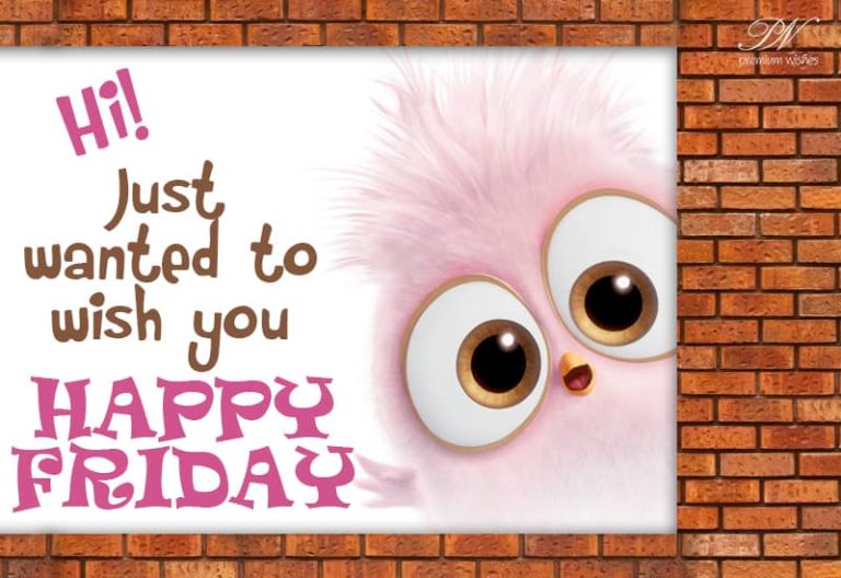 Just Wanted to wish you Happy Friday Just Wanted to wish you Happy Friday