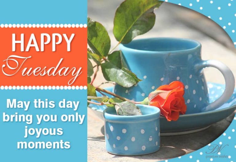 Happy Tuesday – May this day bring you only joyous moments