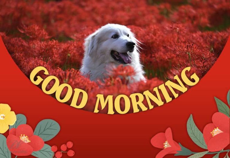 Good Morning – Enjoy the morning sun with your loved ones