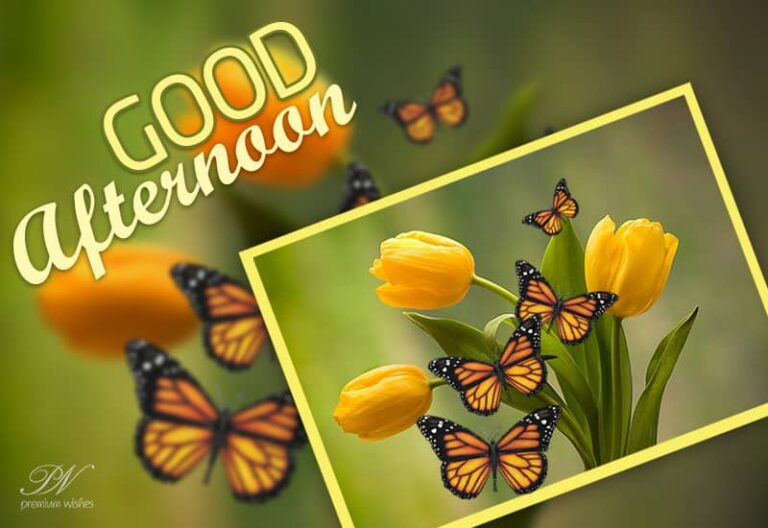 Good Afternoon Wishes