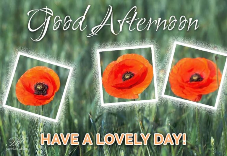 Good Afternoon Wishes