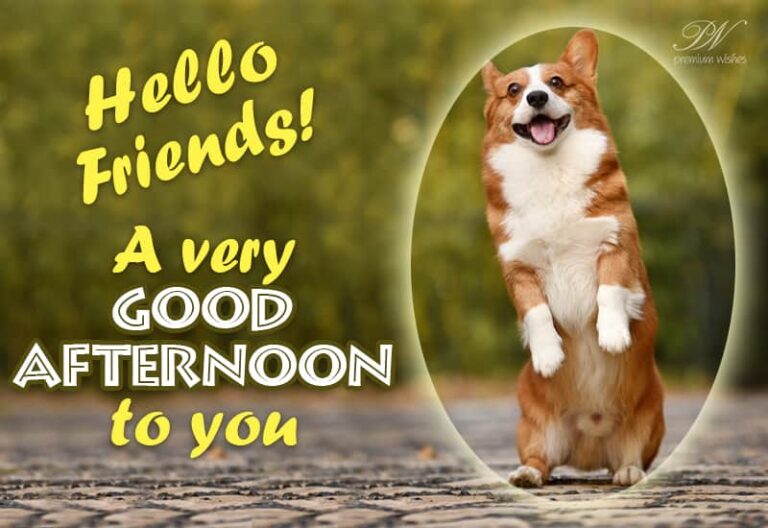 Good Afternoon Wishes