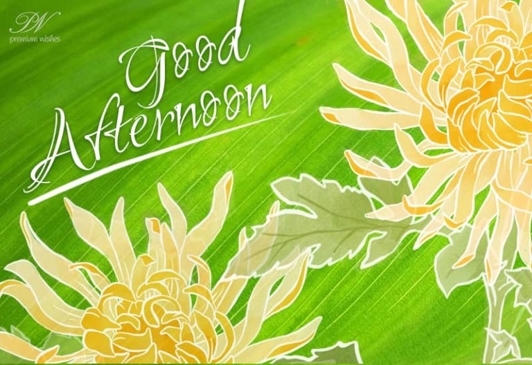 Good Afternoon Wishes