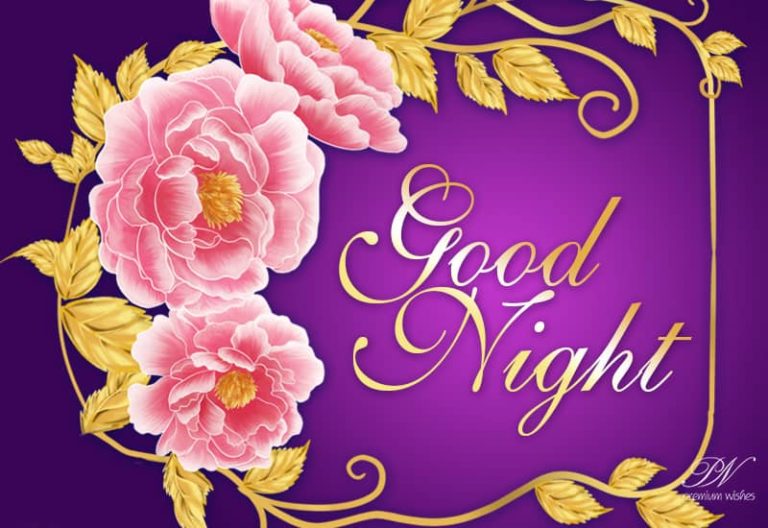 Good Night Wishes
