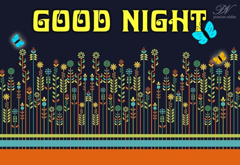Good Night Wishes