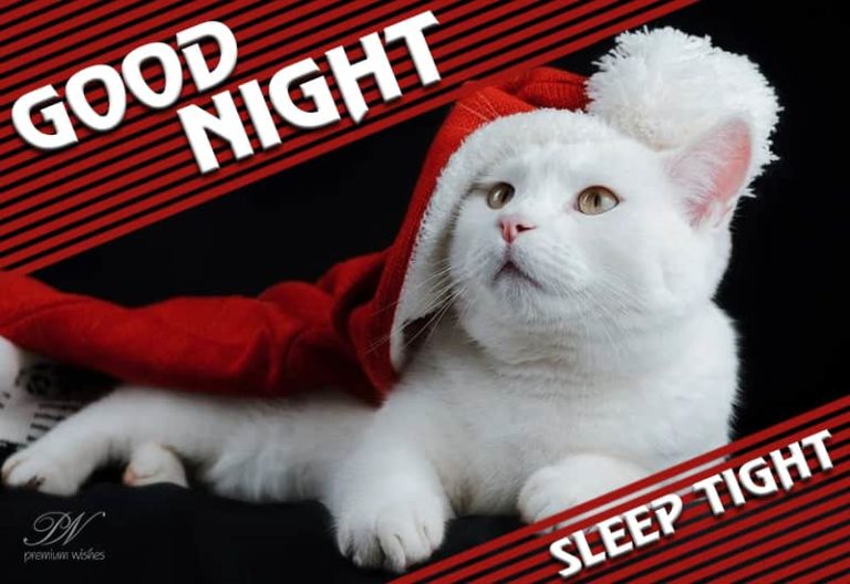 Good Night Wishes