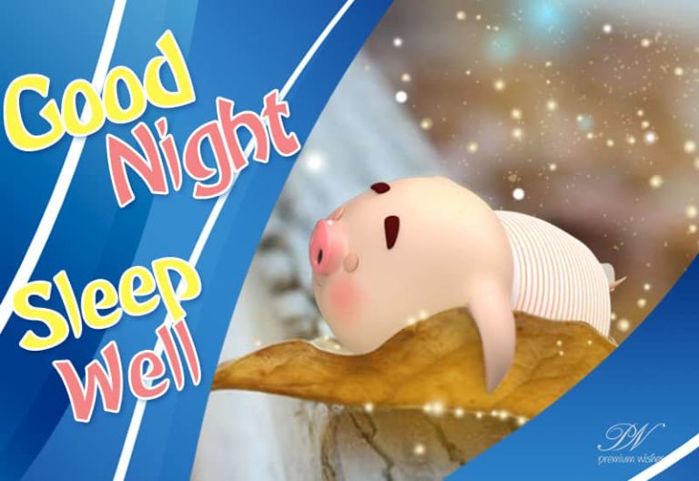 Good Night Wishes